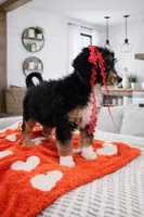 processed/1359d0c6-9e36-434a-a6be-056c10572152/listing/b96a5821-3a84-4ff0-ae59-0b42cef6a243/10aa404d-bfc0-4ad6-b12c-ea5d93c52072