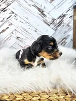 processed/1359d0c6-9e36-434a-a6be-056c10572152/listing/b96a5821-3a84-4ff0-ae59-0b42cef6a243/161e923a-655b-4cbe-835e-c008fe196ef4