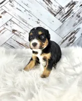 processed/1359d0c6-9e36-434a-a6be-056c10572152/listing/b96a5821-3a84-4ff0-ae59-0b42cef6a243/23d19849-587d-49c4-9b5b-dff5c77e33dd