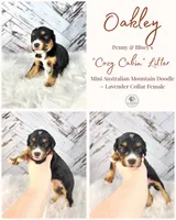 processed/1359d0c6-9e36-434a-a6be-056c10572152/listing/b96a5821-3a84-4ff0-ae59-0b42cef6a243/687b4113-5aa9-4d08-ac5f-5501dcb0868f