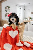 processed/1359d0c6-9e36-434a-a6be-056c10572152/listing/b96a5821-3a84-4ff0-ae59-0b42cef6a243/7d519603-abeb-4b28-9536-f8bc1b731219