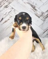 processed/1359d0c6-9e36-434a-a6be-056c10572152/listing/b96a5821-3a84-4ff0-ae59-0b42cef6a243/bbe80e06-6583-4064-bf10-189d20bf301d