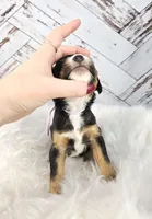 processed/1359d0c6-9e36-434a-a6be-056c10572152/listing/b96a5821-3a84-4ff0-ae59-0b42cef6a243/e077c25c-50bc-4298-8db1-a4c4963afdfb