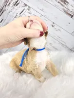 processed/1359d0c6-9e36-434a-a6be-056c10572152/listing/c58a0dcb-cbd3-485f-ba54-d51c85410fb1/5d53057a-2330-4e43-8bab-44a417d5ef43