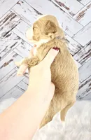 processed/1359d0c6-9e36-434a-a6be-056c10572152/listing/c58a0dcb-cbd3-485f-ba54-d51c85410fb1/c2bd69b4-6b1c-45d8-876d-32afc1447d25