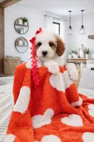 processed/1359d0c6-9e36-434a-a6be-056c10572152/listing/d6dd52b2-73c6-448c-8b94-66a8e152d71f/4de51e25-2d4c-4979-a113-852c472ec06c