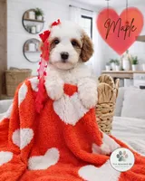 processed/1359d0c6-9e36-434a-a6be-056c10572152/listing/d6dd52b2-73c6-448c-8b94-66a8e152d71f/53705c49-aba2-469a-a0ba-d72d26b1cc67