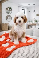 processed/1359d0c6-9e36-434a-a6be-056c10572152/listing/d6dd52b2-73c6-448c-8b94-66a8e152d71f/55703f31-c53c-4f51-acd3-c150e990e012