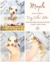 processed/1359d0c6-9e36-434a-a6be-056c10572152/listing/d6dd52b2-73c6-448c-8b94-66a8e152d71f/65d89151-15e2-4546-8915-b5bb28ab8b92