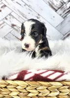 processed/1359d0c6-9e36-434a-a6be-056c10572152/listing/e4a73646-cdfa-4fe9-bfdf-2337863abd20/0271ff26-7a82-40a5-bc78-dcb0a5a612b8