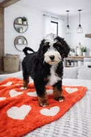 processed/1359d0c6-9e36-434a-a6be-056c10572152/listing/e4a73646-cdfa-4fe9-bfdf-2337863abd20/5c6b601c-4ec0-4f35-a2b6-4be78d9898e8