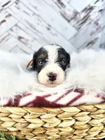 processed/1359d0c6-9e36-434a-a6be-056c10572152/listing/e4a73646-cdfa-4fe9-bfdf-2337863abd20/69c611f8-75a7-4137-ba83-38543c462abf