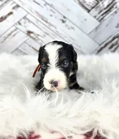 processed/1359d0c6-9e36-434a-a6be-056c10572152/listing/e4a73646-cdfa-4fe9-bfdf-2337863abd20/7bf4d067-ce42-4e86-a515-efa083816e73