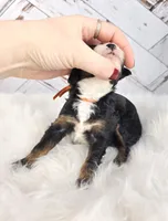 processed/1359d0c6-9e36-434a-a6be-056c10572152/listing/e4a73646-cdfa-4fe9-bfdf-2337863abd20/a2958f53-4216-466d-a56a-3416fe02d341