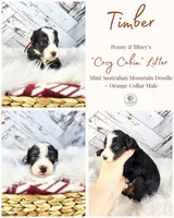 processed/1359d0c6-9e36-434a-a6be-056c10572152/listing/e4a73646-cdfa-4fe9-bfdf-2337863abd20/ee5b756d-4c1b-4719-9fb2-a0fdf954cd59