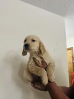 processed/1362bbd8-7291-4c51-8292-5a4d1fa365bb/listing/14321342-9914-40a4-8da4-fcbd42b2f9cc/064f4b3c-6067-4b94-a3fb-852106941024