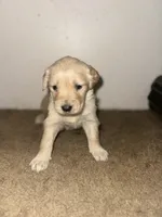 processed/1362bbd8-7291-4c51-8292-5a4d1fa365bb/listing/14321342-9914-40a4-8da4-fcbd42b2f9cc/59be4d72-a5ed-4192-ac9e-d50963ae34db