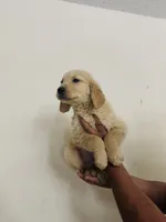 processed/1362bbd8-7291-4c51-8292-5a4d1fa365bb/listing/14321342-9914-40a4-8da4-fcbd42b2f9cc/7f4df13e-6138-4481-af52-281ca9124f3b