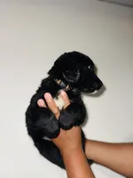 processed/1362bbd8-7291-4c51-8292-5a4d1fa365bb/listing/7be8eaaf-20e6-4dcf-96e4-c8ac00b09350/5dbb167c-2248-40d8-a3e6-33662bb01f35