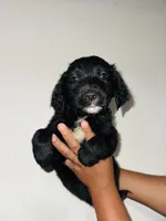 processed/1362bbd8-7291-4c51-8292-5a4d1fa365bb/listing/7be8eaaf-20e6-4dcf-96e4-c8ac00b09350/ca2344a0-2975-455a-bdf2-1021ce36a7e1