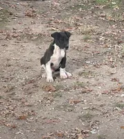 processed/137ae9e4-014a-489b-99fa-82e0cde80f77/listing/18f3b309-40bf-4082-9b91-ce150f8593b0/00b8ea6c-1a8d-4120-af71-5d586b3a58bf