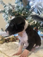 processed/137ae9e4-014a-489b-99fa-82e0cde80f77/listing/18f3b309-40bf-4082-9b91-ce150f8593b0/00e050d7-5cf0-4664-b41f-e7e073d7f27b