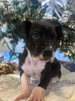 processed/137ae9e4-014a-489b-99fa-82e0cde80f77/listing/18f3b309-40bf-4082-9b91-ce150f8593b0/2f5b2c5f-d5b4-4e82-b6ec-99672705d32e