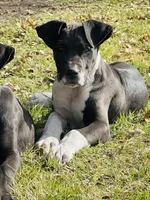 processed/137ae9e4-014a-489b-99fa-82e0cde80f77/listing/18f3b309-40bf-4082-9b91-ce150f8593b0/90cedefc-c1ab-404f-a7d6-e38ff763e19a