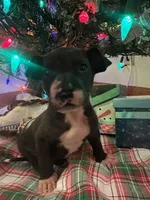 processed/137ae9e4-014a-489b-99fa-82e0cde80f77/listing/ef77eede-672b-48fc-8d2d-84fea8a96209/c5f3f95b-d680-459e-9e07-85d4c98e6f38