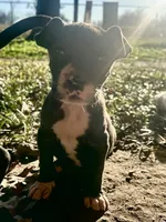 processed/137ae9e4-014a-489b-99fa-82e0cde80f77/listing/ef77eede-672b-48fc-8d2d-84fea8a96209/cb335f57-0c56-4571-8ca3-9bddff4d60ab