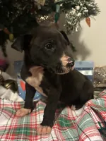 processed/137ae9e4-014a-489b-99fa-82e0cde80f77/listing/ef77eede-672b-48fc-8d2d-84fea8a96209/f72a7e45-43a3-4601-98e8-d2e3823052f0