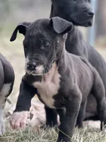 processed/137ae9e4-014a-489b-99fa-82e0cde80f77/listing/ef77eede-672b-48fc-8d2d-84fea8a96209/f7568221-f90b-4dee-af97-78660448024e