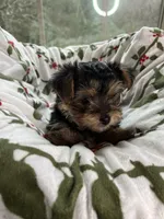 processed/137e7f3d-8538-40c8-990a-2ef60a18dfa1/listing/0bd69be0-e062-4892-b9ac-5b0d589ef235/33100314-0dbc-49fc-a1ec-46f164524d97