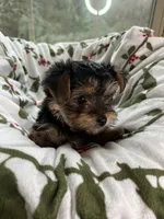 processed/137e7f3d-8538-40c8-990a-2ef60a18dfa1/listing/0bd69be0-e062-4892-b9ac-5b0d589ef235/405d2b81-ea2e-4ff3-9322-e4e627af4678