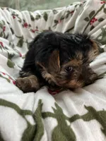 processed/137e7f3d-8538-40c8-990a-2ef60a18dfa1/listing/0bd69be0-e062-4892-b9ac-5b0d589ef235/7972bf11-ca40-4601-b08b-cb2db2cd9e80