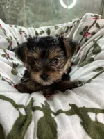 processed/137e7f3d-8538-40c8-990a-2ef60a18dfa1/listing/0bd69be0-e062-4892-b9ac-5b0d589ef235/8505c626-1e57-4a27-8c38-dc36fdc3a4d5