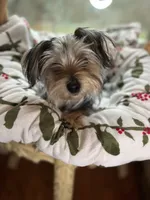 processed/137e7f3d-8538-40c8-990a-2ef60a18dfa1/listing/6d401ec9-4a7c-451b-be3e-e4fd72d65574/8bd61c0b-c670-4f97-9337-19dacf154932