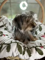 processed/137e7f3d-8538-40c8-990a-2ef60a18dfa1/listing/6d401ec9-4a7c-451b-be3e-e4fd72d65574/c7295bd9-76ba-4e1a-aee6-cf134cff7e57