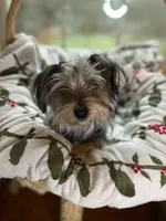 processed/137e7f3d-8538-40c8-990a-2ef60a18dfa1/listing/6d401ec9-4a7c-451b-be3e-e4fd72d65574/d923a27f-d0b1-42cc-9530-5c82527057c2