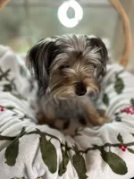 processed/137e7f3d-8538-40c8-990a-2ef60a18dfa1/listing/6d401ec9-4a7c-451b-be3e-e4fd72d65574/fc557742-39d0-4c2a-9d9a-f02ac51e083e