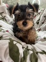 processed/137e7f3d-8538-40c8-990a-2ef60a18dfa1/listing/6f0c0fd1-de67-4be9-8a32-a0ea02838305/0c5ea23b-43f5-4f21-97ba-2e79b3b462b2