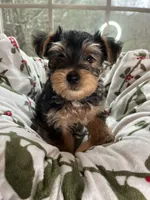 processed/137e7f3d-8538-40c8-990a-2ef60a18dfa1/listing/6f0c0fd1-de67-4be9-8a32-a0ea02838305/1e8b7e46-d50c-4b56-886f-4340e6a4d198