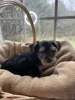 processed/137e7f3d-8538-40c8-990a-2ef60a18dfa1/listing/6f0c0fd1-de67-4be9-8a32-a0ea02838305/295bdf66-d755-4f7e-befa-4b08c55c4ac3