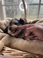 processed/137e7f3d-8538-40c8-990a-2ef60a18dfa1/listing/6f0c0fd1-de67-4be9-8a32-a0ea02838305/972dd978-9274-4cb1-8917-dc8f8a99304e