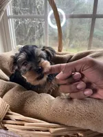 processed/137e7f3d-8538-40c8-990a-2ef60a18dfa1/listing/6f0c0fd1-de67-4be9-8a32-a0ea02838305/a61fb62e-ade8-47ef-98b3-e350a1ca15c9