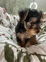 processed/137e7f3d-8538-40c8-990a-2ef60a18dfa1/listing/6f0c0fd1-de67-4be9-8a32-a0ea02838305/b83df916-7d5c-446e-8bc2-ccc43e186081