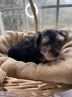 processed/137e7f3d-8538-40c8-990a-2ef60a18dfa1/listing/6f0c0fd1-de67-4be9-8a32-a0ea02838305/d2141cdc-b5c1-48d1-ac32-743f5064afeb