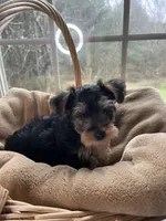 processed/137e7f3d-8538-40c8-990a-2ef60a18dfa1/listing/6f0c0fd1-de67-4be9-8a32-a0ea02838305/f552b144-0e8a-4c7b-9351-050509f071ef