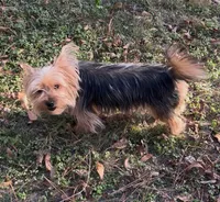 processed/137e7f3d-8538-40c8-990a-2ef60a18dfa1/listing/ed64e372-1928-49fc-8e9f-77a70080c620/0b9a1a2a-9bc0-420f-9b24-563b0296c50d