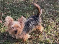 processed/137e7f3d-8538-40c8-990a-2ef60a18dfa1/listing/ed64e372-1928-49fc-8e9f-77a70080c620/9101157c-10cb-4e0d-a843-0f080fd51293